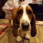 Robin Leftwich - @thepriddywoman - Instagram