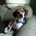 Robin Leitch - Facebook