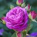 Robin Leiter - Facebook