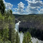 Robin Leslie Shoen Williamson - @robin.williamson3372 - Instagram