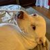 Robyn Levasseur - Facebook