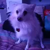 robin - @robinley_ - TikTok
