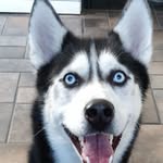 Robin Sterkenburg - @_robin_lilly_ - Instagram