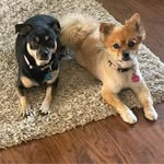 Robin Lindquist Nilsson - @robin.l.nilsson.1 - Instagram