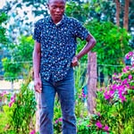 Robin link - @link6938 - Instagram