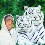 Robinlink - @robinlink41 - Instagram