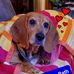 Robin Linn - Facebook
