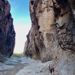 Robin Littlejohn - @littlejohn4743 - Instagram