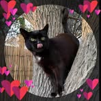 Robyn Littlejohn - Facebook