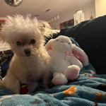 @robin_ann_lowry - Instagram