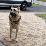 Robin Lowry - @robins_haven_08 - Instagram