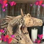 Robin Luce - @rrluce - Instagram