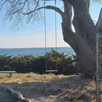 Robin Luce - @robinluce - Instagram
