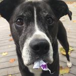 robinludlow - @robinludlow - Instagram