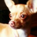 Robin Gosselin Lyman - @robingosselinlyman - Instagram