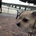 Robin Andy Mabry - Facebook