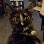 Robin Russell Mabry - @robinrussellmabry - Instagram