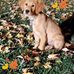 Robin Macgregor - Facebook