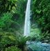 Robin Madrigal - Facebook