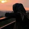 Robin Malik - @robinmalik5151 - TikTok