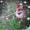 Robert Marchant - @robert.marchant8 - TikTok