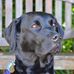 Robin Marchant - Facebook