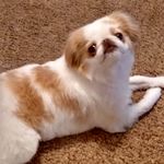 Robin Marlowe - @ro.bin1427 - Instagram