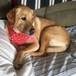 Robin Marty - @rhrlmarty - Instagram