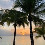 Robin Mathieu - @rbn_mth06 - Instagram
