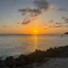 Maya Robins - @maya.robins2 - TikTok