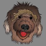 Robyn McArthur - @mcarthur.robyn - Instagram