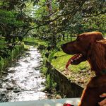 Leila Robin McBride - @wet_setter - Instagram