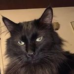 Robin McCafferty - @mccafferty.robin - Instagram