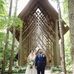 Robyn McCauley Willis - Facebook