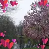 Robin Mcclish - @robinmcclish - TikTok