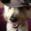 Robin McCormack - @robin.mccormack - TikTok