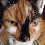 Robin Mcewen - @rjlmcewen - Instagram