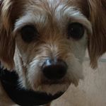 Robin McEwen - @robinmce1957 - Instagram