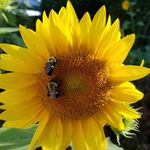 Robin Kenneway McGee - @robin_mcgee1213 - Instagram