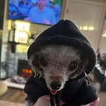Robin McGuire - @rglassmcguire - Instagram