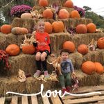 Robin Pettitt McGuire - @robin.mcguire.0701 - Instagram