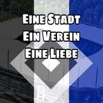 Robin_Meißner_fanpage - @hsv_1887news_pictures - Instagram