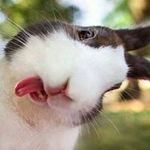Robin Melanson - @melansonrobin - Instagram