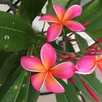 Robin Melcher - @roro91784 - Instagram
