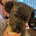 Robin Merlob - Facebook