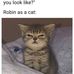 Robin Merrill - Facebook