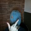 user8847457560654 - @robin_meyers_ - TikTok