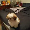 robinmims29 - @robinmims29 - TikTok