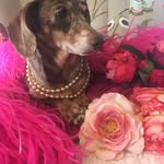 Robyn Mines - @duckling_virgo - Instagram