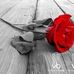 Robin Mire - Facebook